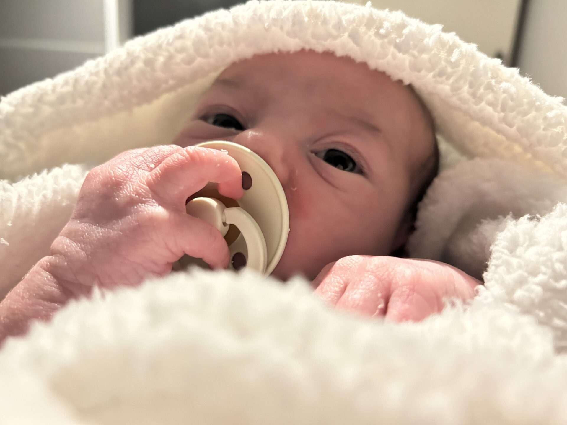 Baby Jack