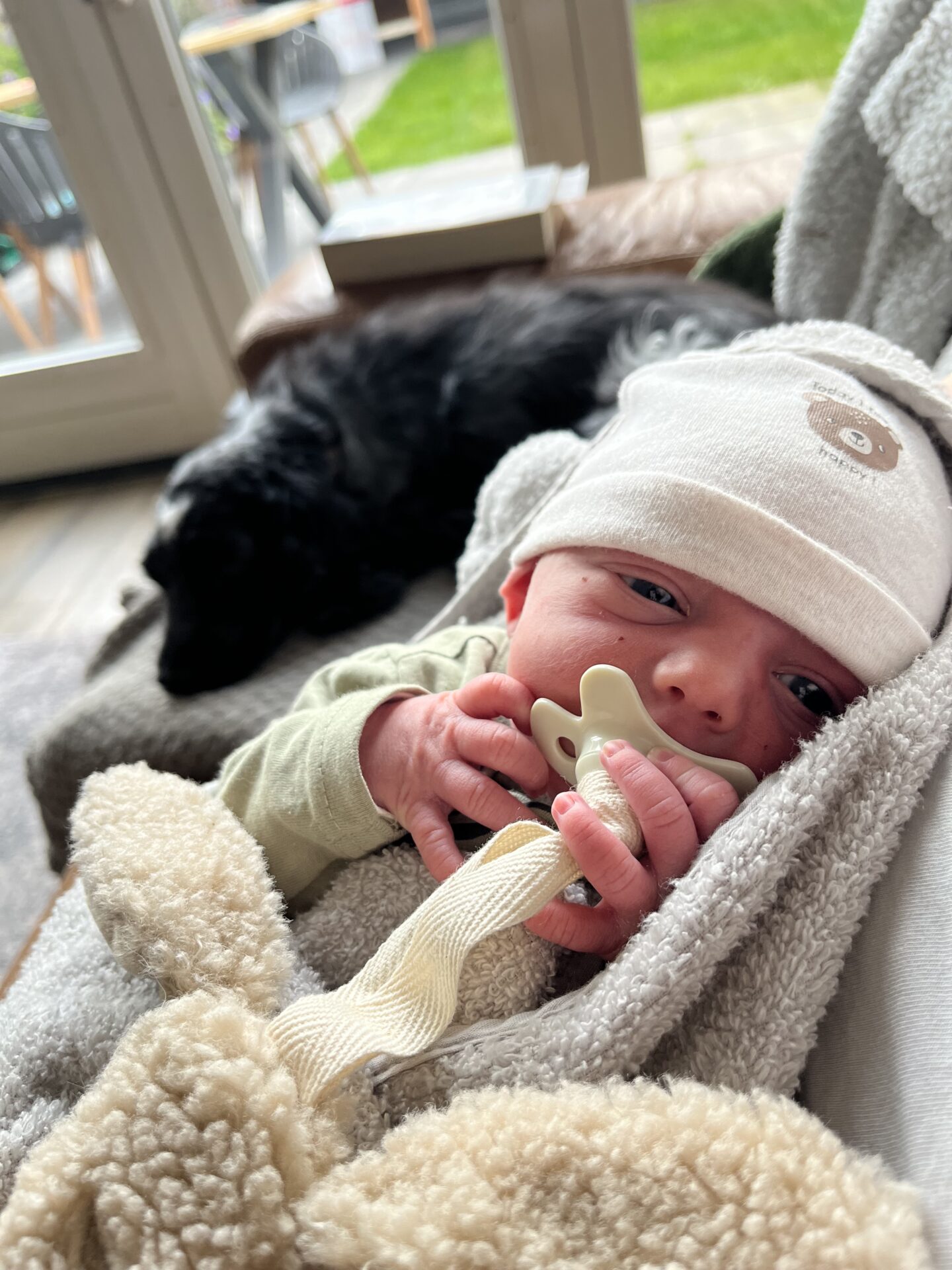 Baby Owen
