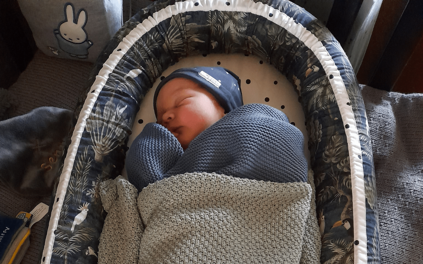 Baby Senn uitgelicht