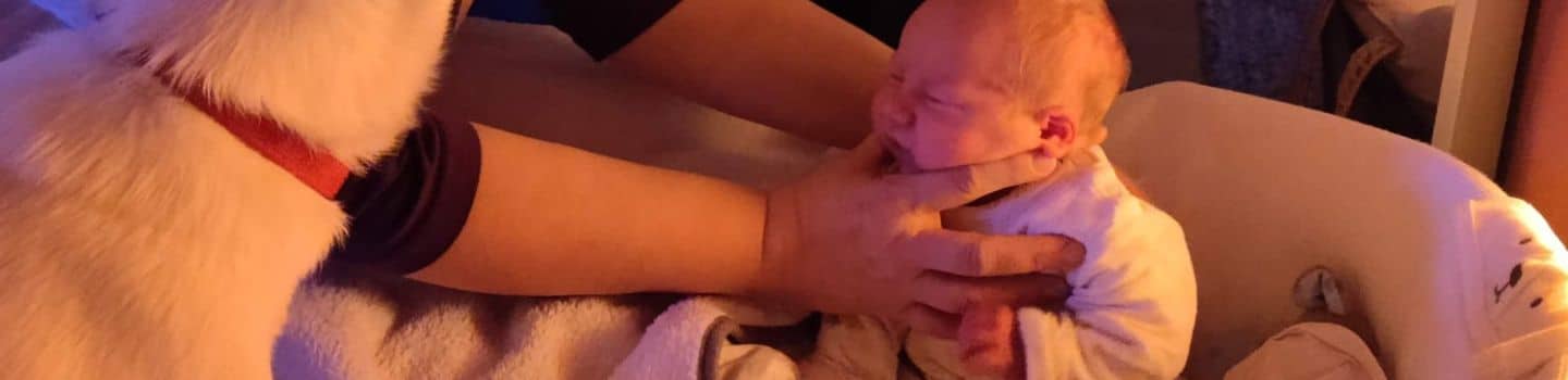Clintervaring baby Dorian