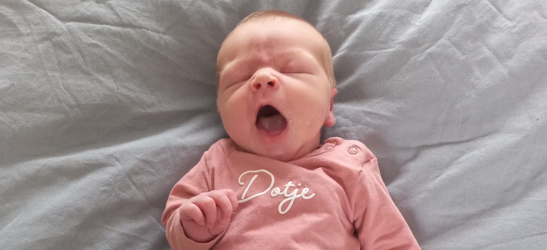 baby ivy bijgesneden 2